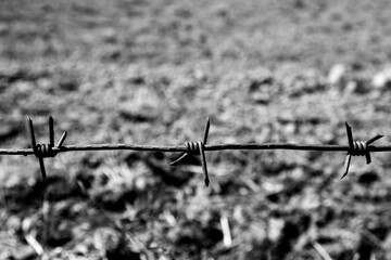Barbed wire close-up. International Day of Remembrance of the Slave Trade and the concept of its...