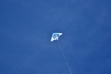 kite flying in the sky