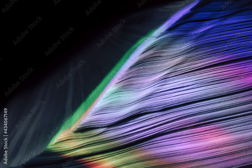 Fototapete Close up Beautiful book pages in the multi color light on a night. Background pattern for design. Macro photography view.