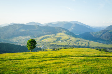 Fototapeta na wymiar Idyllic sunny day in tranquil mountain landscape. Location place of Carpathian mountains.