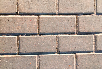 The path in the park. Cobblestones, shabby from time to time. For wallpaper, background and postcards.