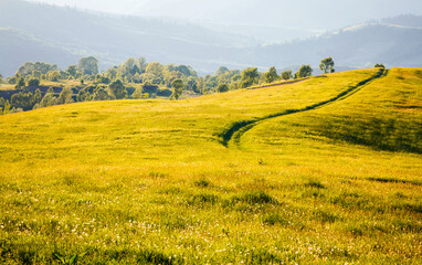 Fototapeta premium Idyllic sunny day in tranquil mountain landscape. Location place of Carpathian mountains.
