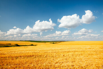 Fantastic summer view of the field with white fluffy clouds.