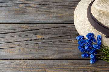 Muscari flower.Muscari armeniacum.Grape Hyacinths .Muscari flowers in warm sunshine on a old wood blurred grass background.
