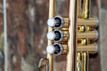 hands of boy playing trumpet, child's face not visible