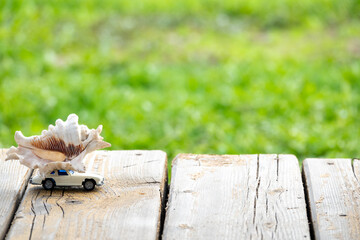 closeup of car on old wood planks texture and grass background