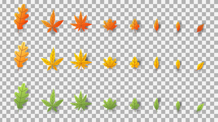 Leaves in different seasons set  on transparent background  , Vector illustration EPS 10