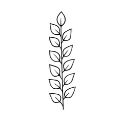 Plant twig with leaves hand drawn doodle outline. Frame border black design element. Greeting card invitation divider. Stock vector illustration isolated on white background.