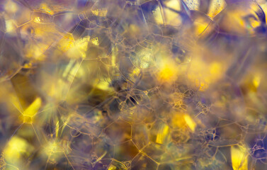 Lather. Abstract Background from Bubbles and Soap Foam. Beautiful Macro Structure.