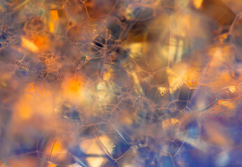 Lather. Abstract Background from Bubbles and Soap Foam. Beautiful Macro Structure.
