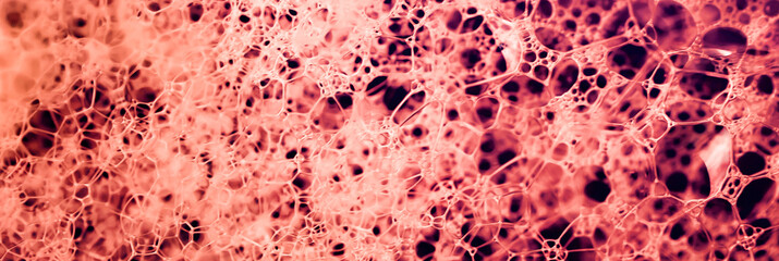 Lather. Abstract Background from Bubbles and Soap Foam. Beautiful Macro Structure.