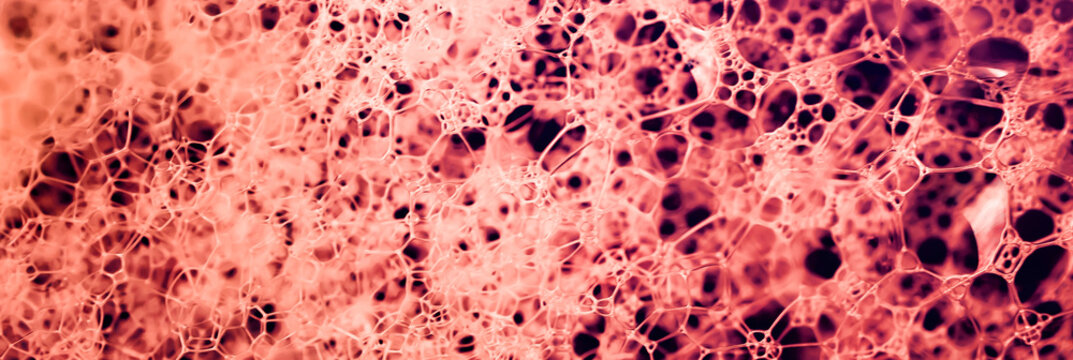 Lather. Abstract Background from Bubbles and Soap Foam. Beautiful Macro Structure.