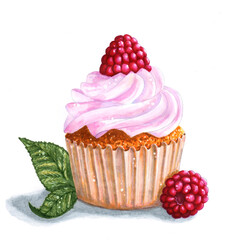 Hand-drawn marker sketch: cupcake with raspberries