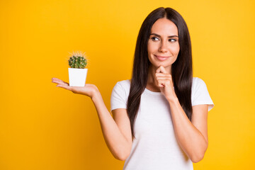 Photo of minded brunette woman hold plant cactus hand chin think isolated on yellow color background