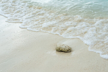 the coral rock on the beach against surf