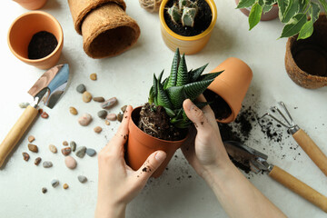 Gardening concept on white textured background, top view