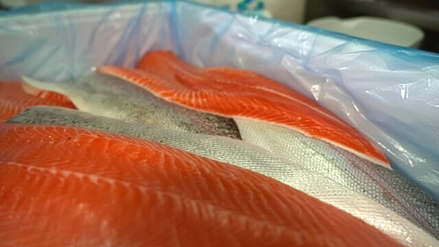 Layers of Norway factory farmed salmon fillets laying in plastic covered styrofoam box