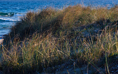 Es Trucadors , Formentera, Pitiusas Islands, Balearic Community, Spain