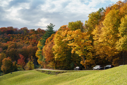 The small country road bending and winding under the rows of vibrant maple trees in Autumn. Vermont, United States