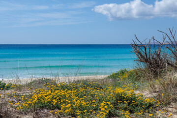 Es Arenals, Migjorn beach, Formentera, Pitiusas Islands, Balearic Community, Spain