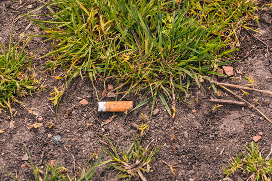 Weggeschnippte Zigarettenkippen sind weltweit das häufigste Abfallprodukt und ein riesiges Sondermüllproblem