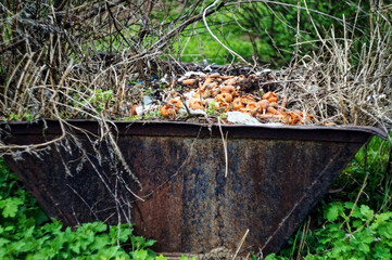 a pile of garbage in an old barrel in the garden