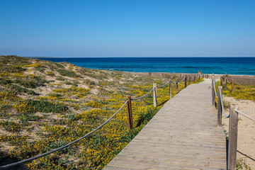 Llevant beach walkway, Ses Salines d’Eivissa i Formentera Natural Park, Formentera, Pitiusas Islands, Balearic Community, Spain