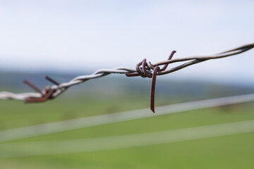 Rusty barbwire as barrier on a border