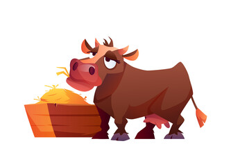 Cow eating hay isolated cartoon farm animal isolated on white. Vector illustration of rural cattle eating hayrick hay bale from stuck, hungry beef standing near wooden cowshed with straw and grass