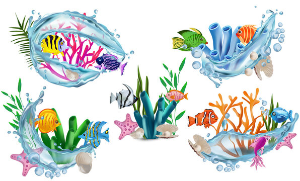 Funny Tropicals colorful fish, seaweed, corals, starfish, shell with pearl, shell, water splash. Underwater world, Cartoon character. 3D vector illustration.