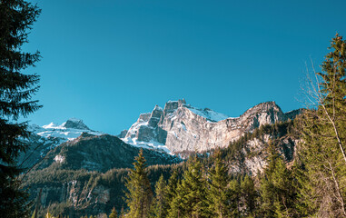 Beautiful alpine view of high snow capped mountains, pine forest trees and vast mountainous landscape. Kandersteg, Switzerland.