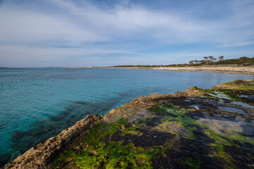 Es Cavall den Borras beachs, Formentera, Pitiusas Islands, Balearic Community, Spain