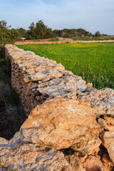 traditional stone walls for agricultural land, Formentera, Pitiusas Islands, Balearic Community, Spain
