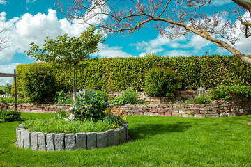 Residential Garden, private garden. Landscape design in home garden, beautiful landscaping in...