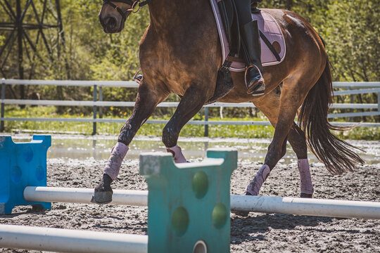 Cavaletti Training mit dem Pferd/Pony