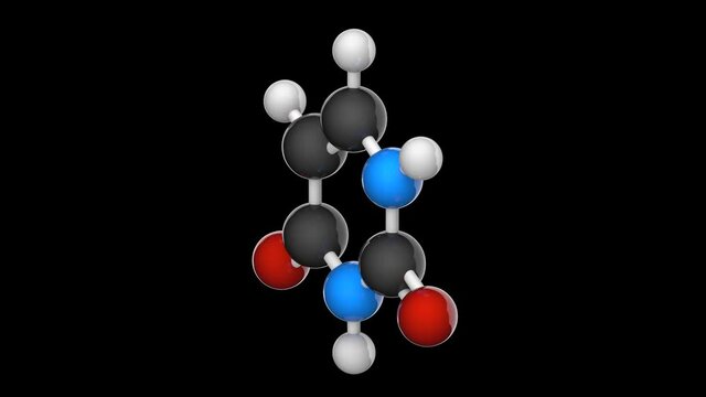 Uracil. Nitrogenous base molecular structure (DNA and RNA parts). Formula: C4H4N2O2. 3D render. Seamless loop. Chemical structure model: Ball and Stick. RGB + Alpha (Transparent) channel