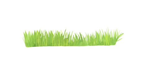 Grass isolated on a white background. Green watercolor horizontal grass clipart. Hand-drawn landscape illustration. Bright freshness plants border for your design. Outdoor object.