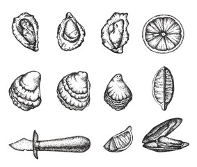 Set with graphics-drawn seafood. Oysters, mussels, lemon and an oyster knife. For menus, postcards, posters and fish restaurant