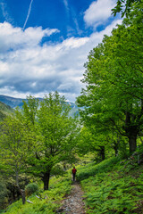 Man Hiking.
Stock Photo Of A Man Hiking In Las Hurdes North Of C&aacute;ceres-Spain.