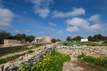 Fototapeta premium traditional stone walls, typical rural house, Formentera, Pitiusas Islands, Balearic Community, Spain