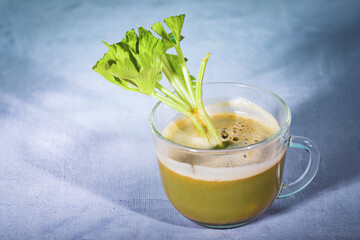 Healthy Celery diet for the treatment of incurable mysterious diseases. Fresh celery juice squeezed out on a juicer.drink, vegetable juice, studio shot