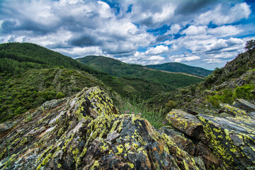 Majestic Landscape Of Forest And Mountains.
Landscape Of Sierra De Gata Located North Of Caceres In...