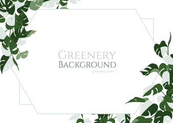 Monstera Albo plant, greenery frame border on white background. Beautiful template for wedding invitation or greeting card, banner. Isolate. © negoworks