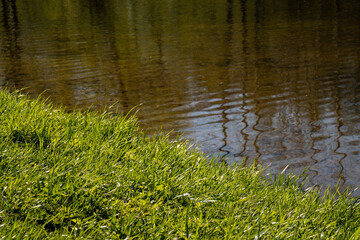 Obraz na płótnie Canvas Green grass by the river