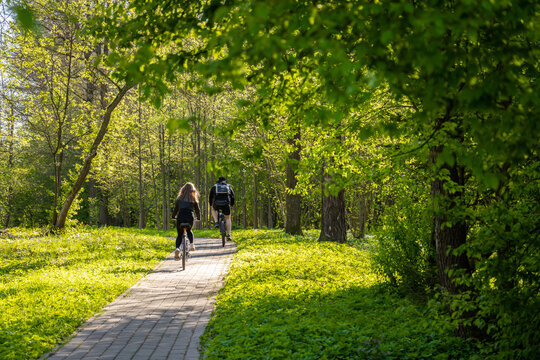 Family rides bicycles in the park in spring