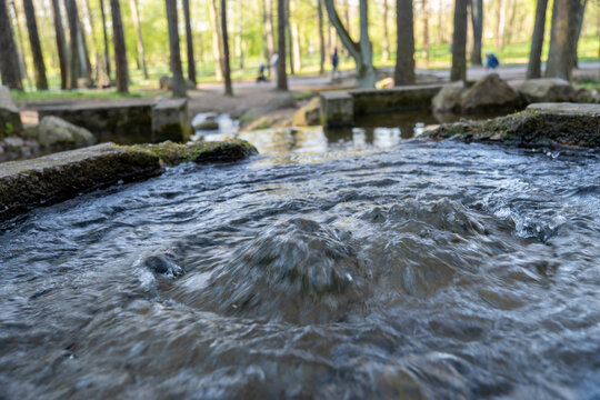 Underground water source in the forest