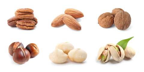 Set with different tasty nuts on white background. Banner design