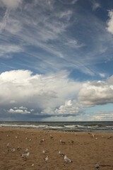 Niebo chmury Morze ptaki plaża