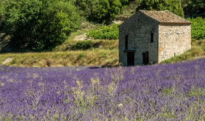 Fotobehang Lavendel Grange et champ de lavande à Sainte-Jalle, Drôme, France  © Jorge Alves