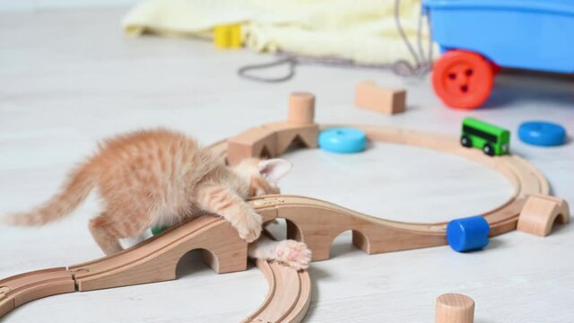 cute little ginger funny kitten cat playing at home in the nursery with children's toys paravoz on a wooden railroad. High quality photo
